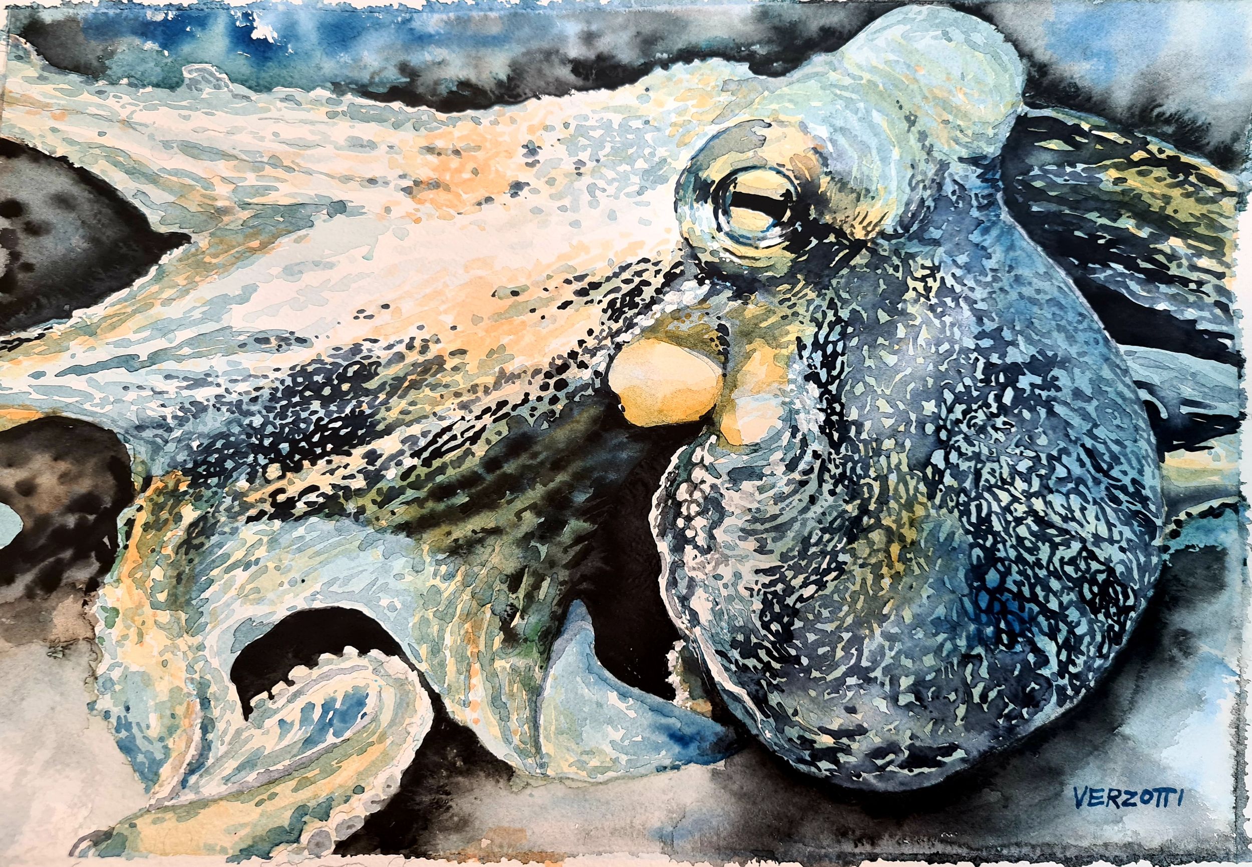 Akvarel – Maja Verzotti