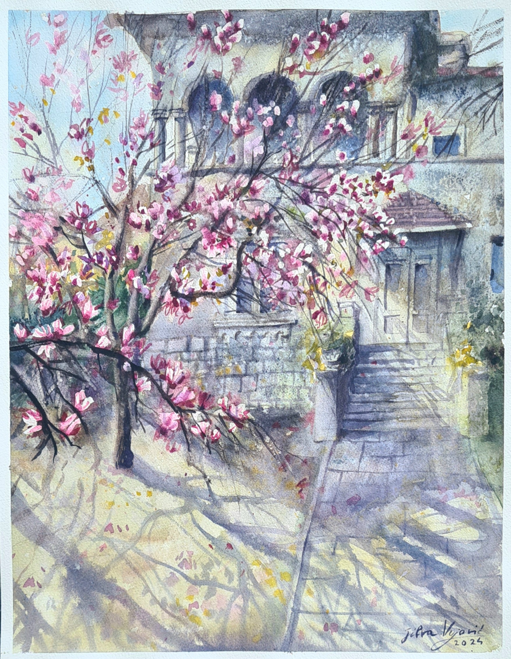 Akvarel – Silva Vujović